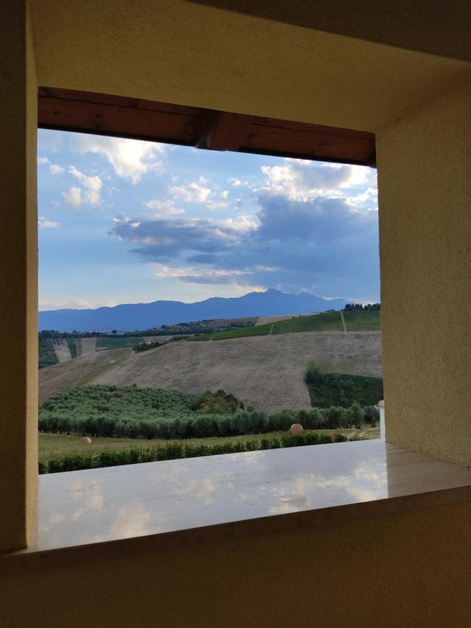 Agriturismo Terra Dei Falchi Castilenti 外观 照片