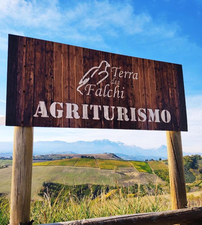 Agriturismo Terra Dei Falchi Castilenti 外观 照片
