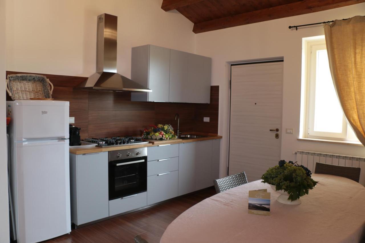 Agriturismo Terra Dei Falchi Castilenti 外观 照片