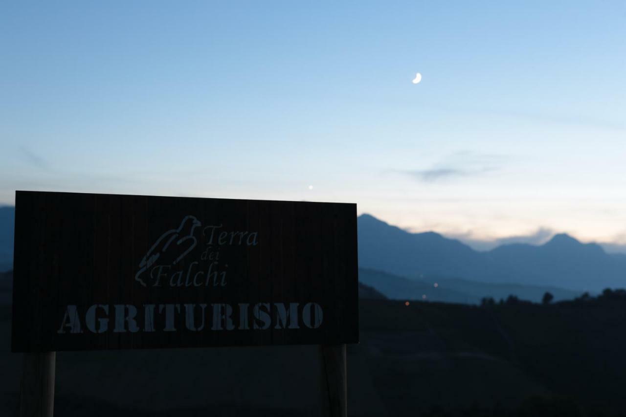 Agriturismo Terra Dei Falchi Castilenti 外观 照片