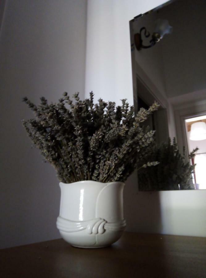 Agriturismo Terra Dei Falchi Castilenti 外观 照片