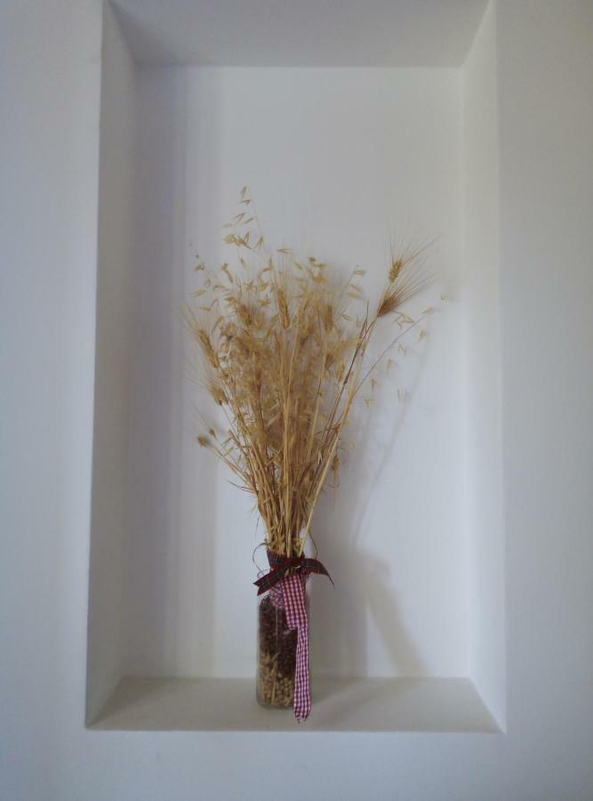 Agriturismo Terra Dei Falchi Castilenti 外观 照片